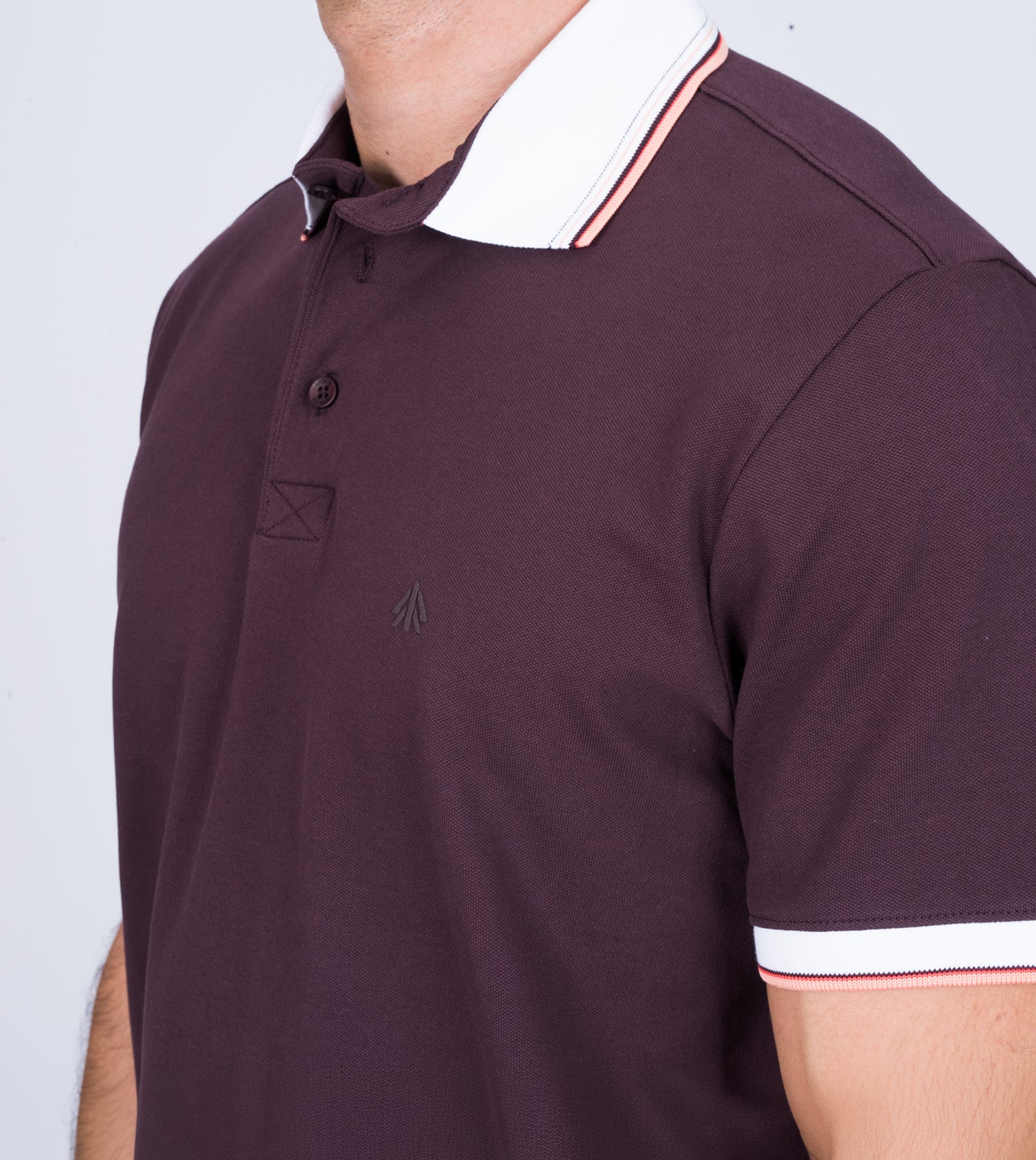 POLO RAID