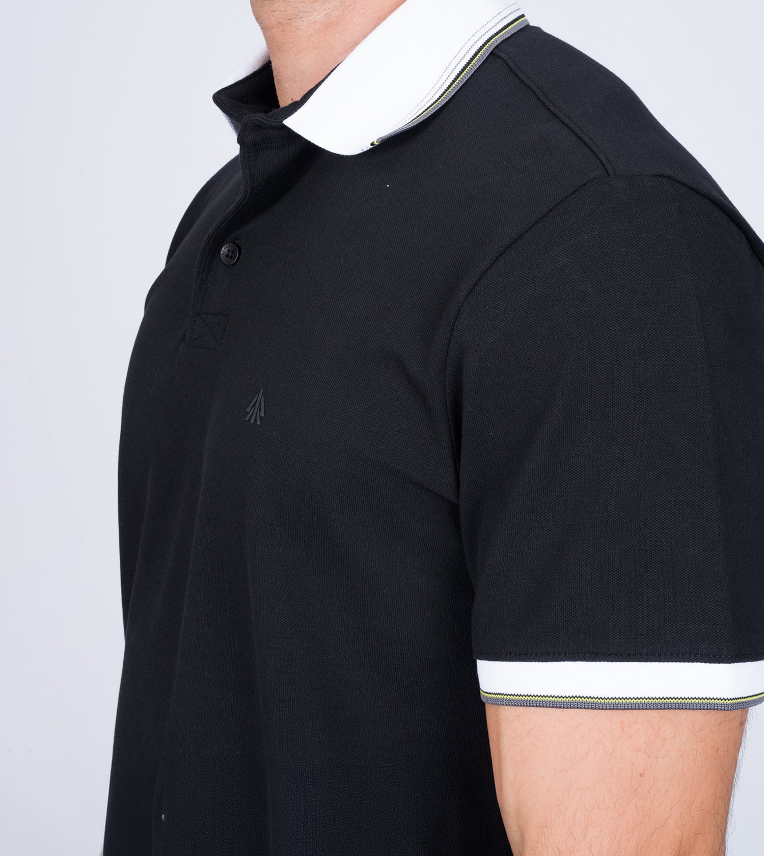 POLO RAID